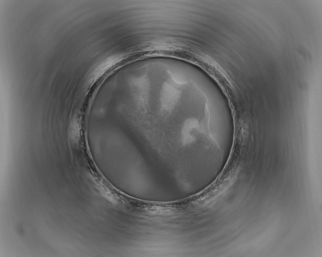 X0000111200874200907011431