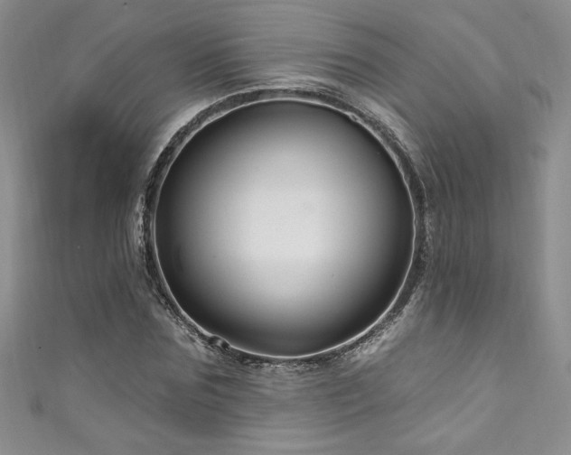 X0000111200875200907011431