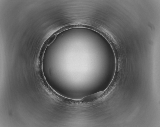 X0000111200876200907011431