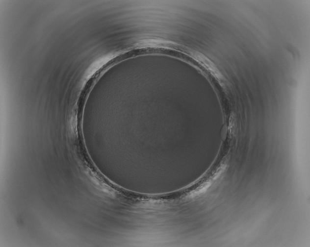 X0000111200877200907011431