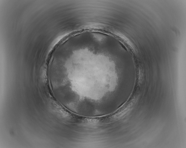 X0000111200878200907011431