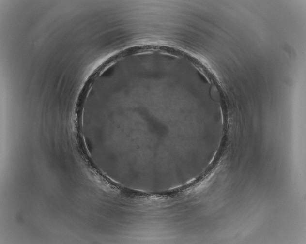 X0000111200879200907011431