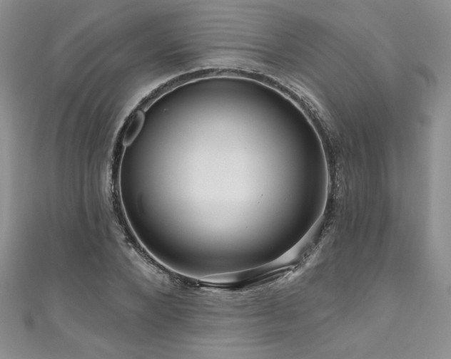 X0000111200880200907011431