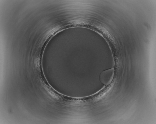 X0000111200881200907011431