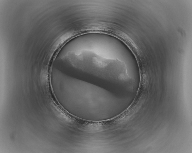 X0000111200882200907011431