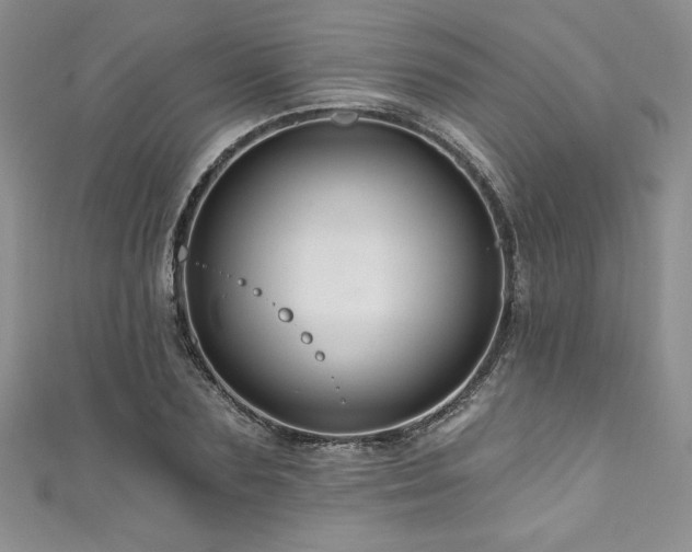 X0000111200883200907011431