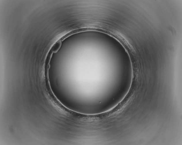 X0000111200884200907011431