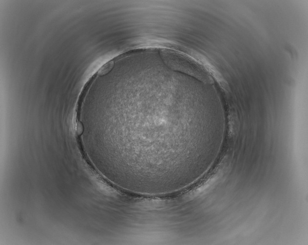 X0000111200885200907011431