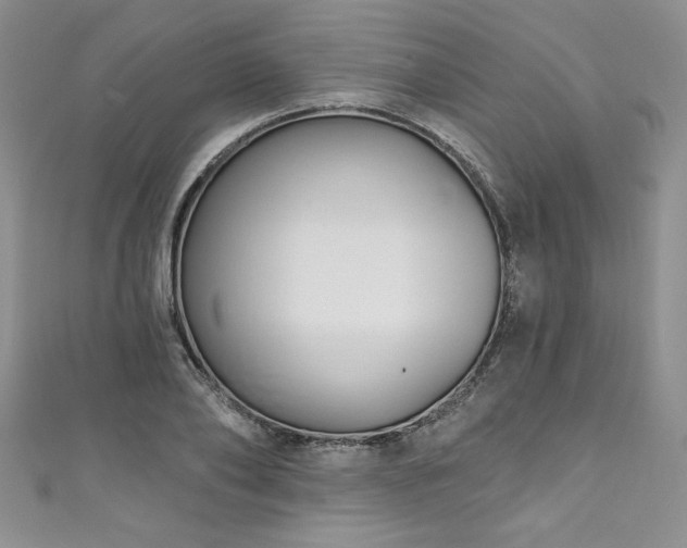 X0000111200886200907011431