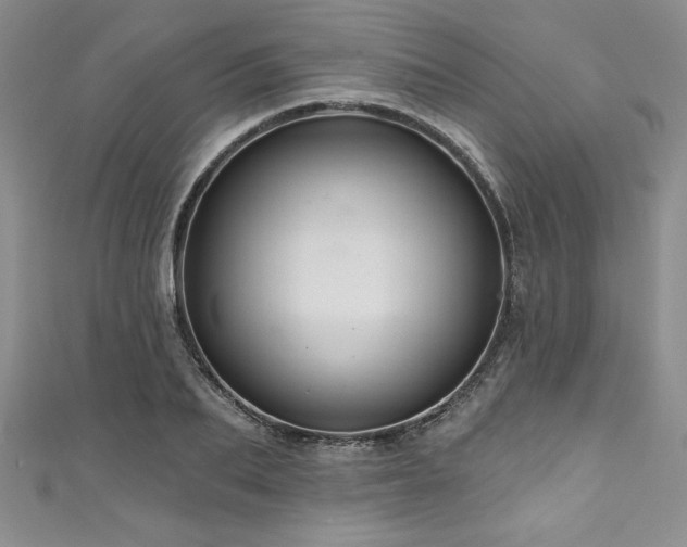 X0000111200887200907011431