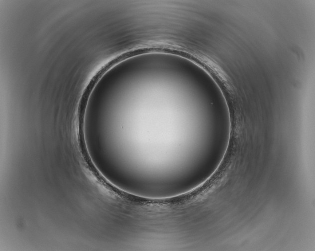 X0000111200888200907011431