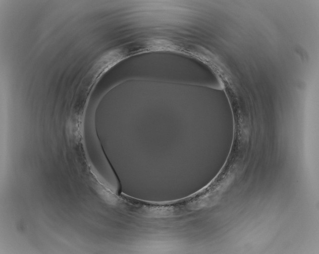 X0000111200889200907011431