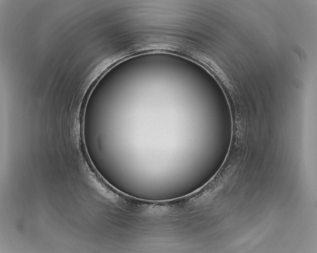 X0000111200890200907011431