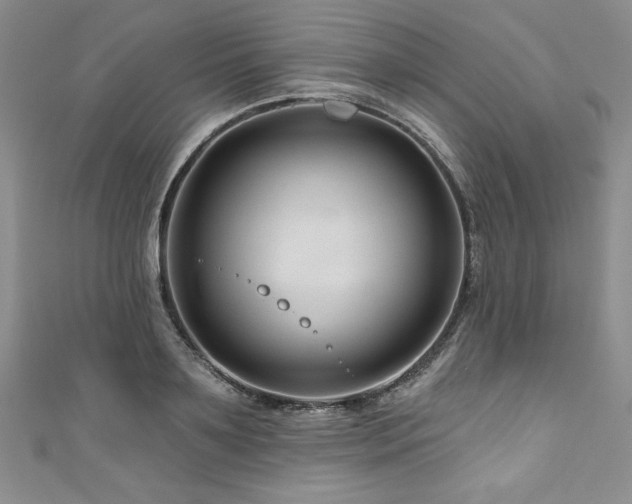 X0000111200891200907011431