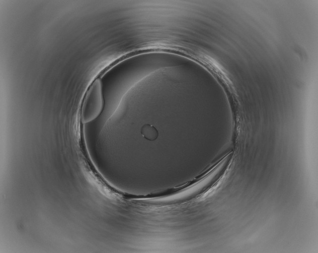 X0000111200892200907011431