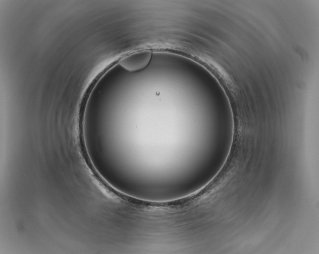 X0000111200894200907011431