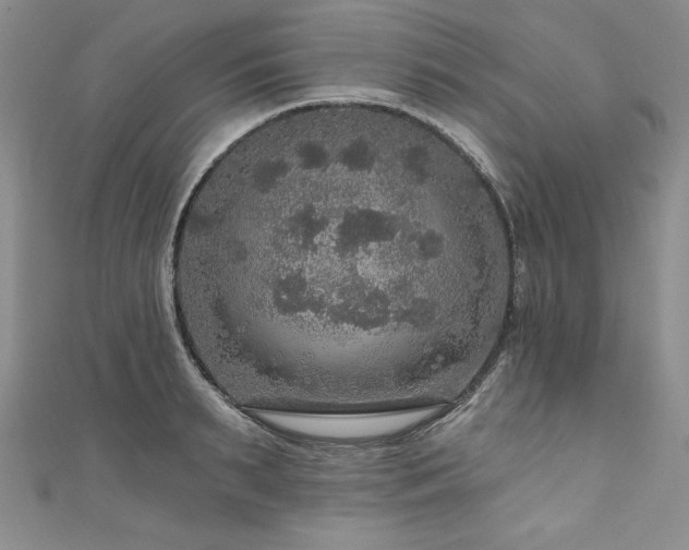 X0000111200895200907011431