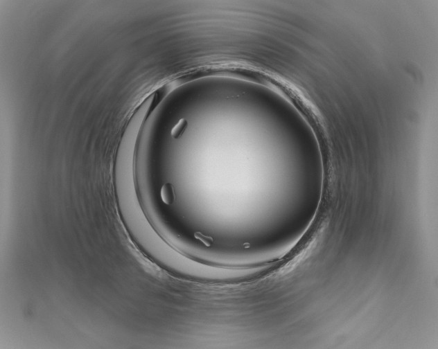 X0000111200897200907011431