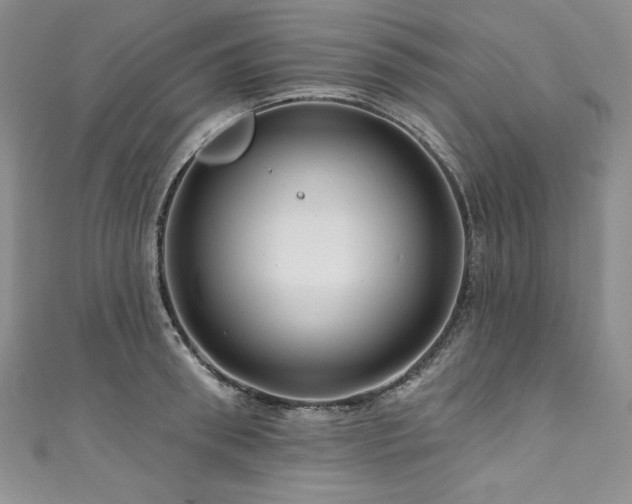 X0000111200898200907011431