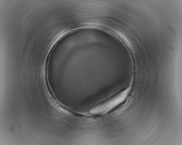 X0000111200899200907011431