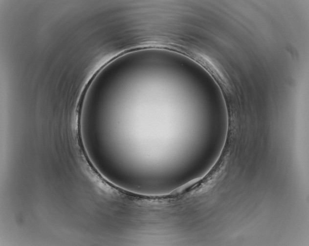 X0000111200900200907011431