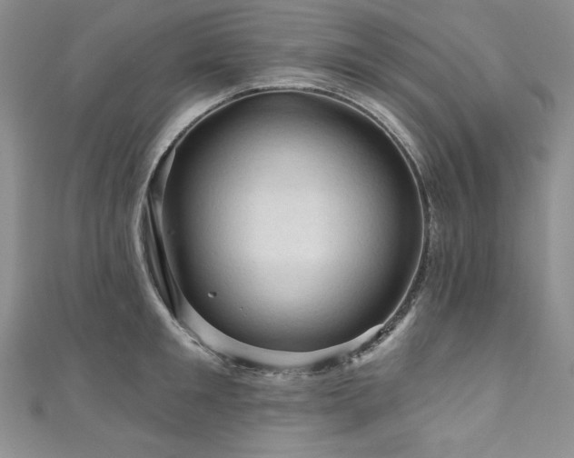 X0000111200901200907011431