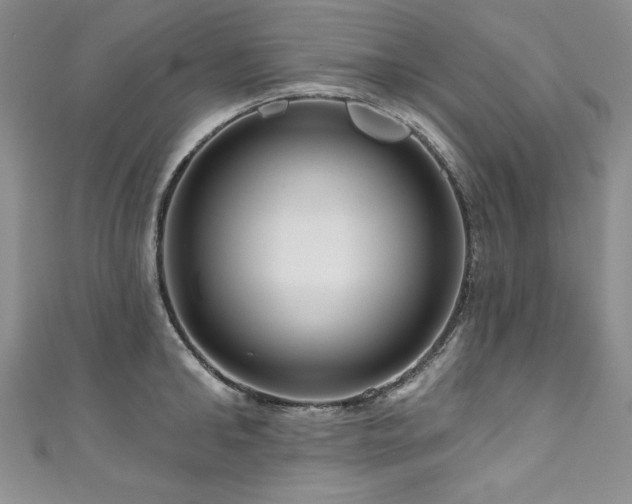 X0000111200902200907011431