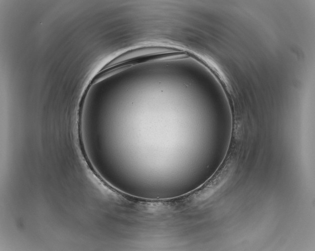 X0000111200903200907011431