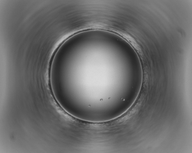 X0000111200904200907011430