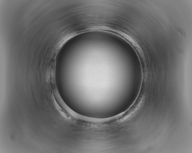 X0000111200905200907011430