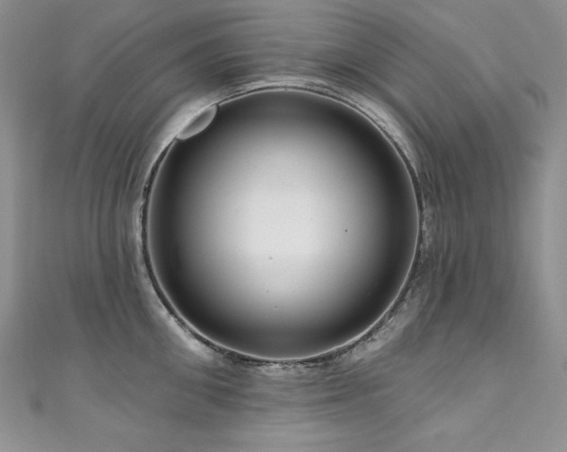 X0000111200906200907011430