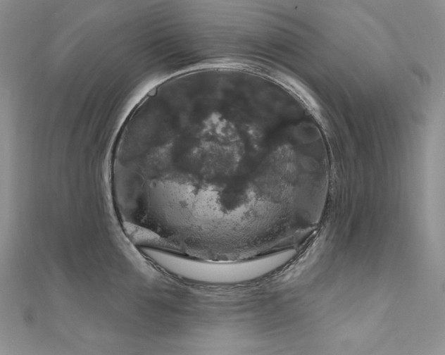 X0000111200907200907011430