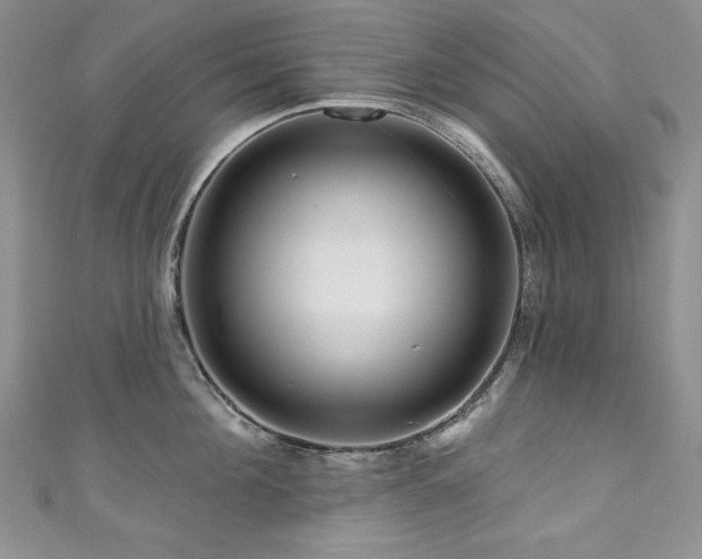 X0000111200908200907011430