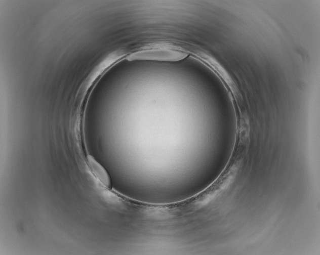 X0000111200909200907011430