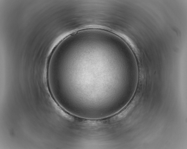 X0000111200910200907011430