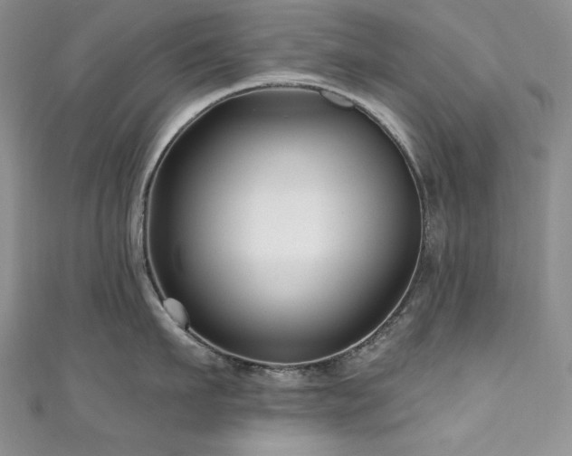 X0000111200911200907011430