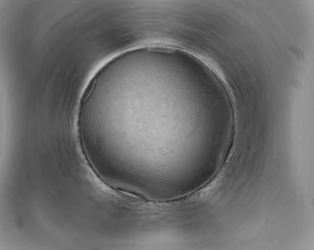 X0000111200912200907011430