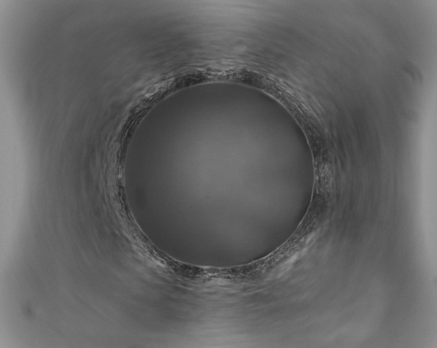 X0000111200913200907011430