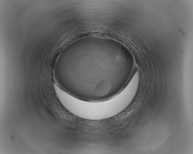 X0000111200916200907011430