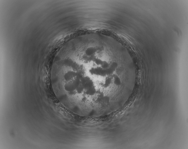 X0000111200917200907011430