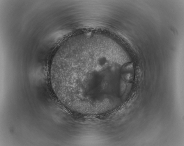 X0000111200918200907011430