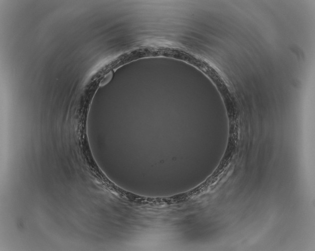 X0000111200919200907011430