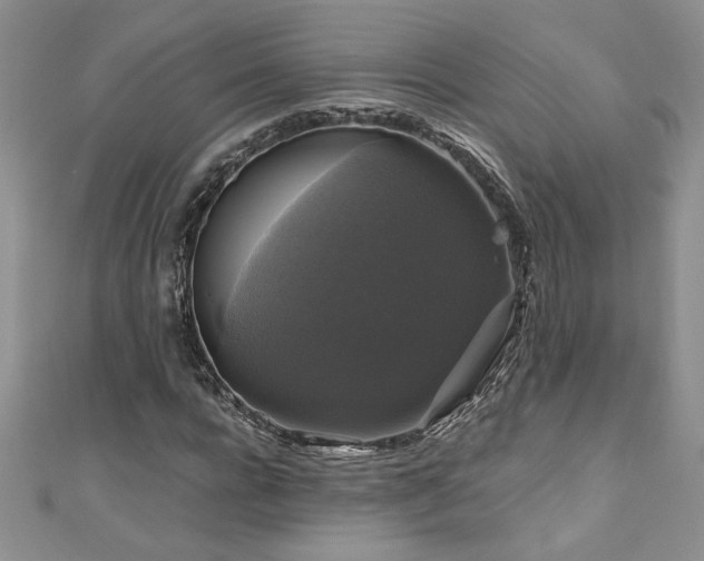 X0000111200920200907011430