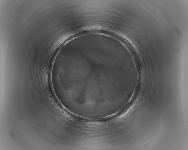 X0000111200921200907011430