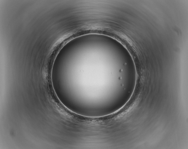 X0000111200922200907011430