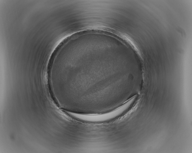 X0000111200924200907011430