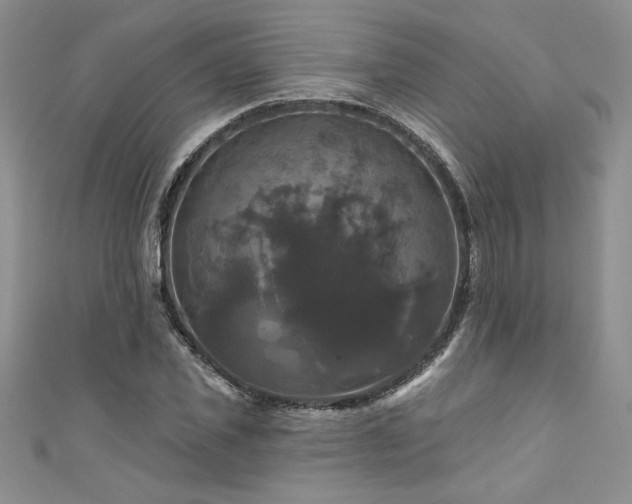 X0000111200925200907011430