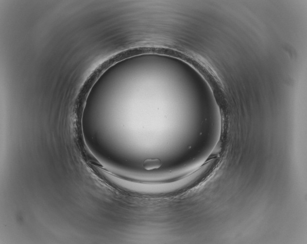 X0000111200926200907011430