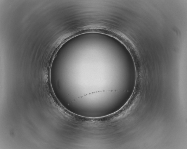 X0000111200929200907011430