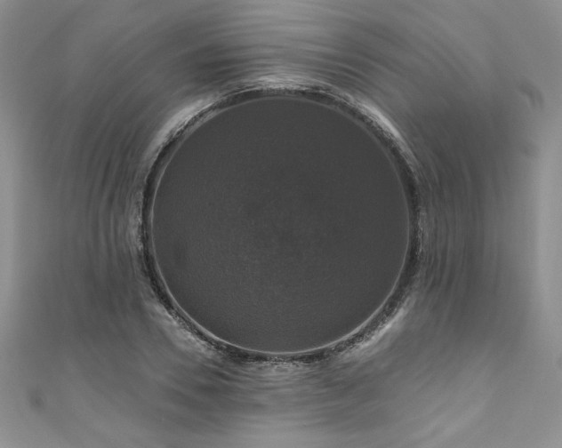 X0000111200930200907011430